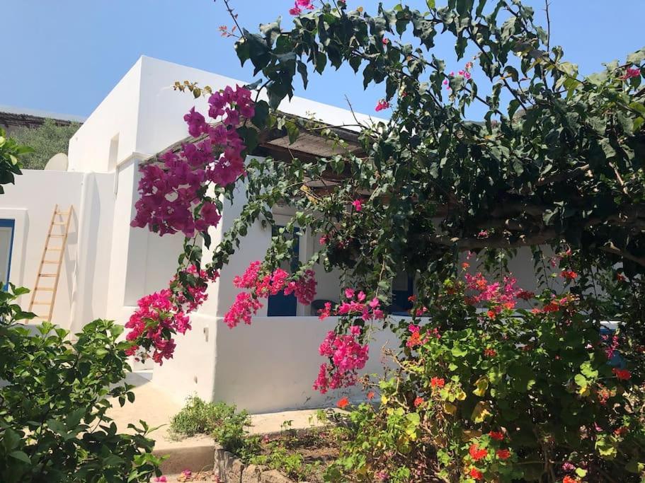 Casa Nostra - Tatil Evi